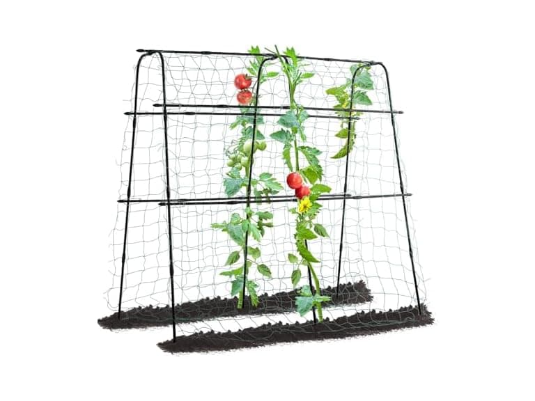 FOLLOOK Garden Cucumber Trellis, 5ft - Image 1