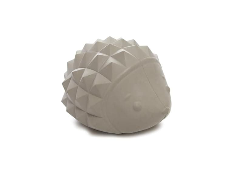 BarkBox Sven the Hedgie Rubber Dog Toy - Image 1