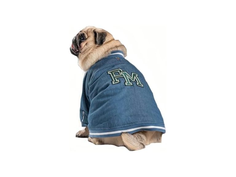 Pooch Mode Reversible Varsity Jacket - Image 1