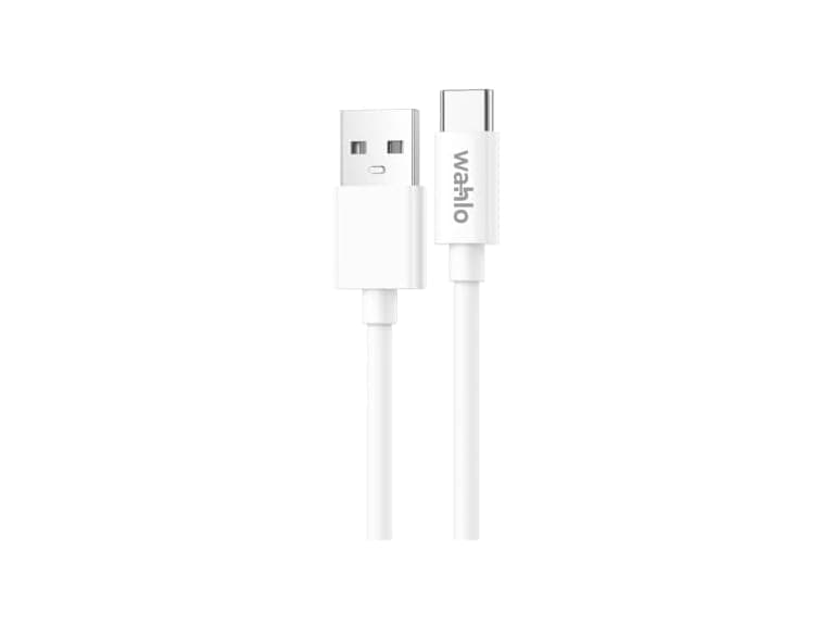 GoGreen USB-A to USB-C Cable, 10 Ft (2-Pack)