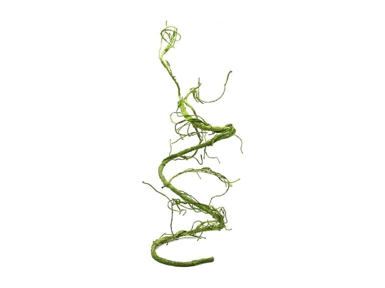 Pangea Reptile Ultimate Vine for Terrarium Ha - Image 1