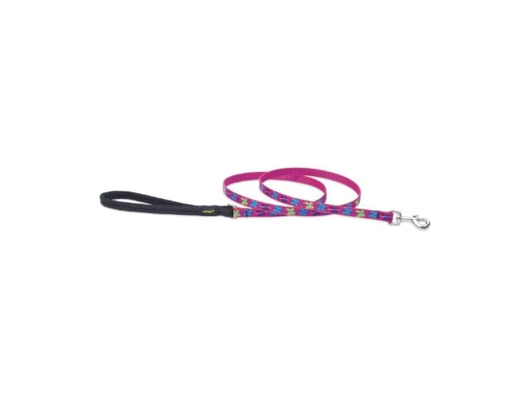 LupinePet Originals 1/2" Wing It 4-foot Padded Leash - Image 1