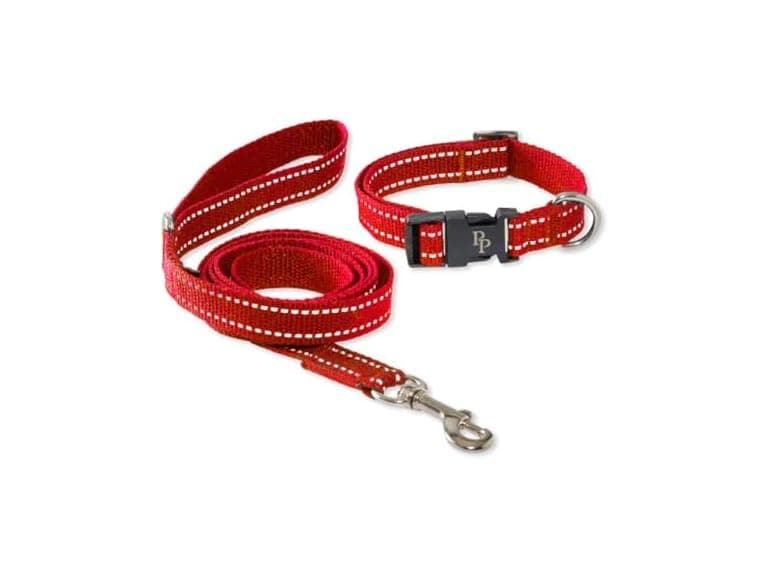 Pet Passion Max II - 2-Pack Reflective Leash & Collar - Image 1