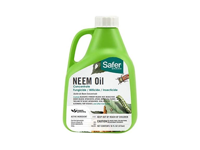 Neem Oil Concentrate for Plants - Image 1