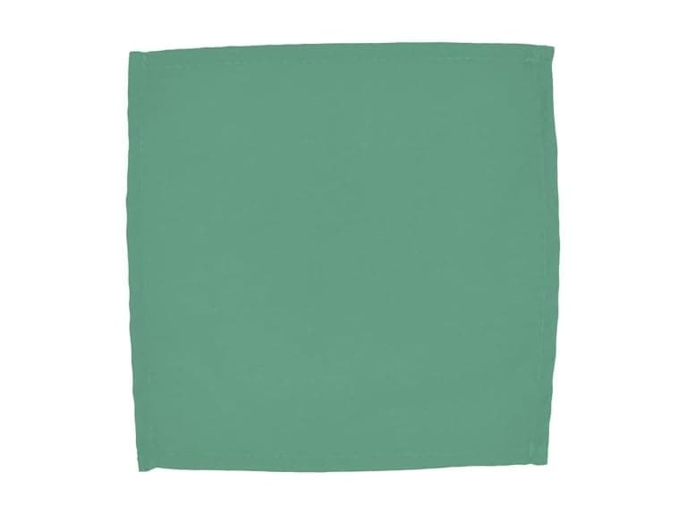 Intedge Seafoam Cloth Napkins - Image 1