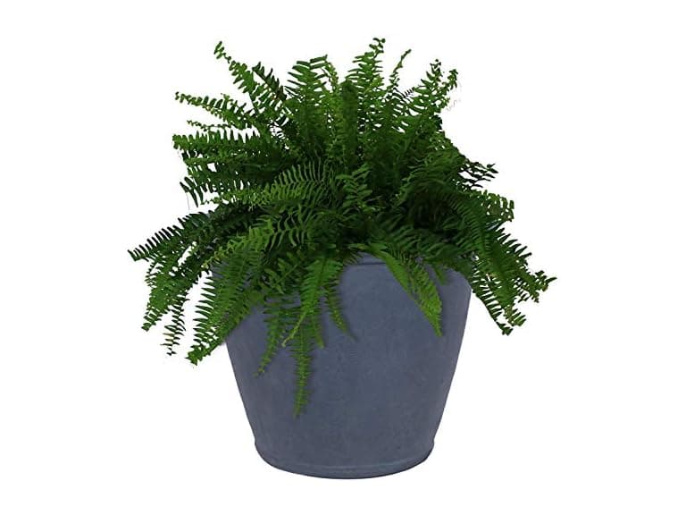 Sunnydaze 24-Inch Anjelica Large Plastic Pot - Slate - Image 1