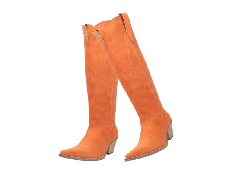 SHODENSE Women Suede Knee High Cowgirl - Image 1