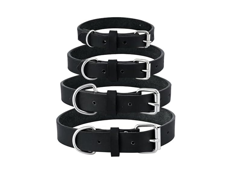 PBF Leather Dog Collar - Genuine Top - Image 1