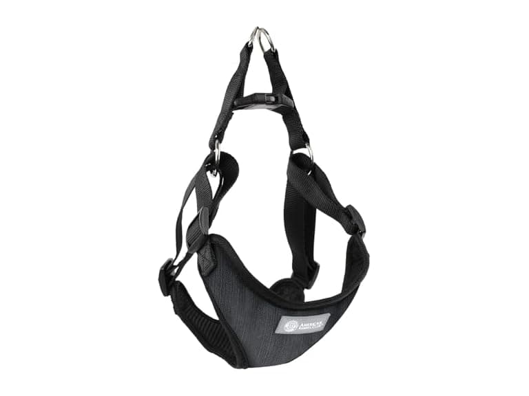 AKC Striped Step-in Dog Harness - Image 1