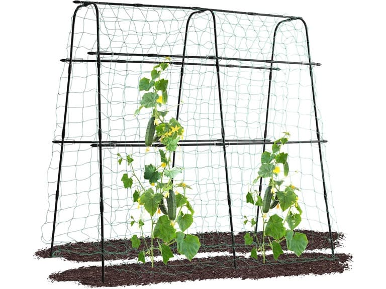 Lalahoni Cucumber Trellis | 5.3x5.3 Feet - Image 1