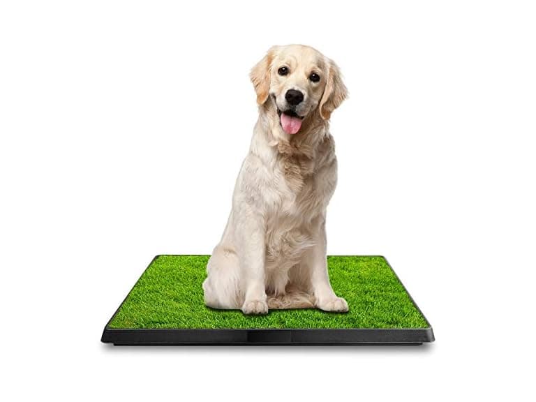 iMounTEK Grass Patch for Dogs, Artificial Grass  - Image 1