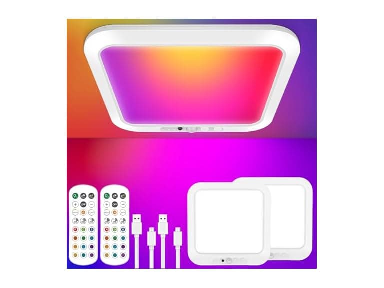 Rechargeable Motion Sensor Ceiling Light with Remote - Image 1
