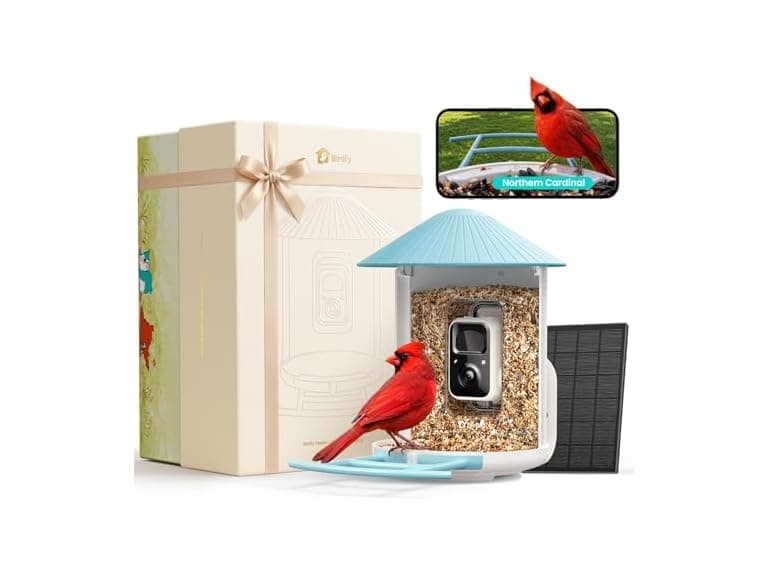 Birdfy BF1 feeder gift set - Image 1