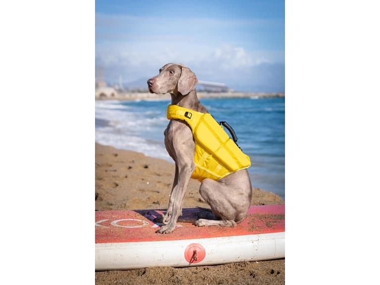 NOAH & PAW Dog Life Jacket- XLarge - Image 1