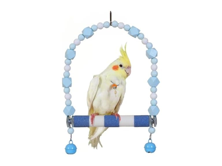 Paxikaka Bird Frosted Perch Swing Toy - Image 1