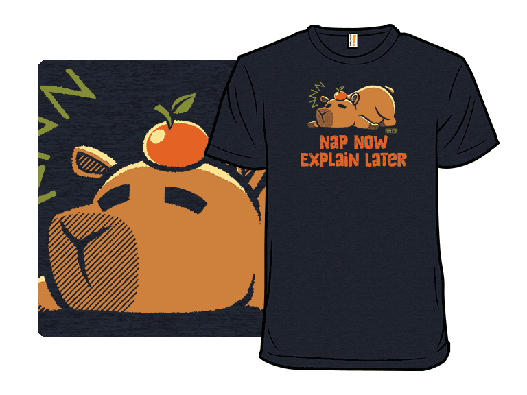 Nap Now, Explain Later