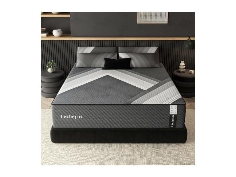 Lechepus 10Inch Queen Mattress in Box - Image 1