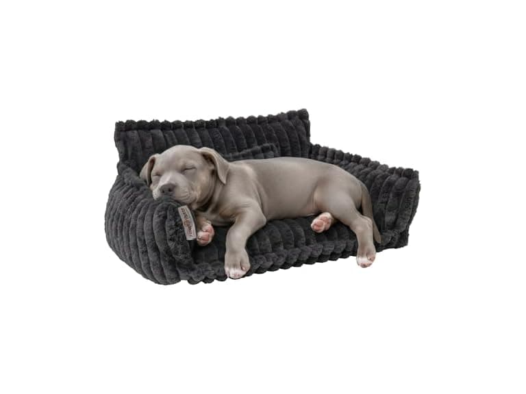Paws & Purrs Grooved Pet Bed for Small to Medium Dogs/Cat - Image 1