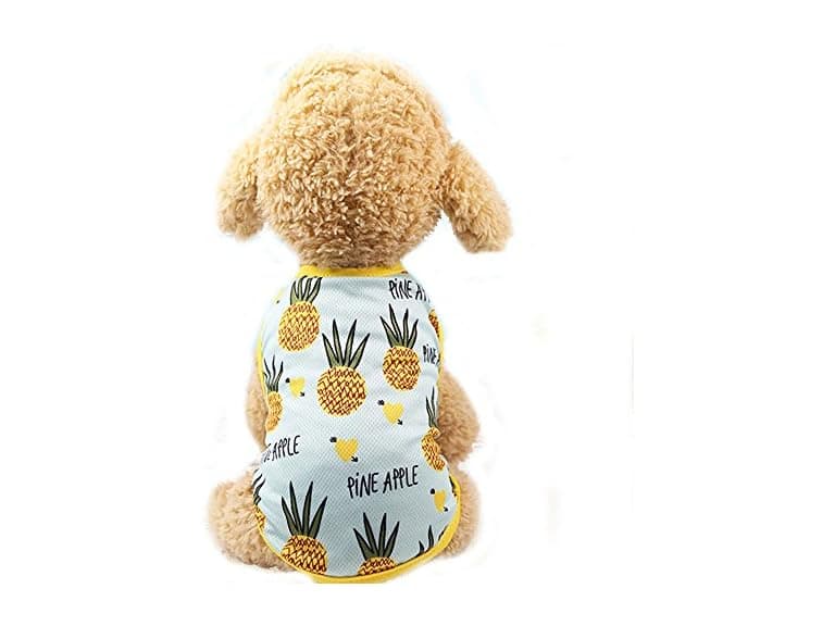Pet Clothes,Lovely Summer Fruit Dog T-Shirt P - Image 1