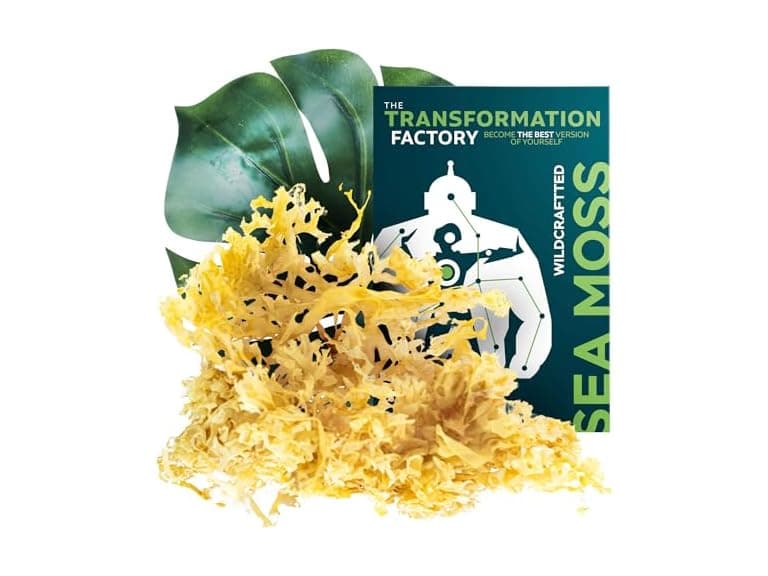 Irish Sea Moss Raw Wildcrafted, 4oz - Image 1