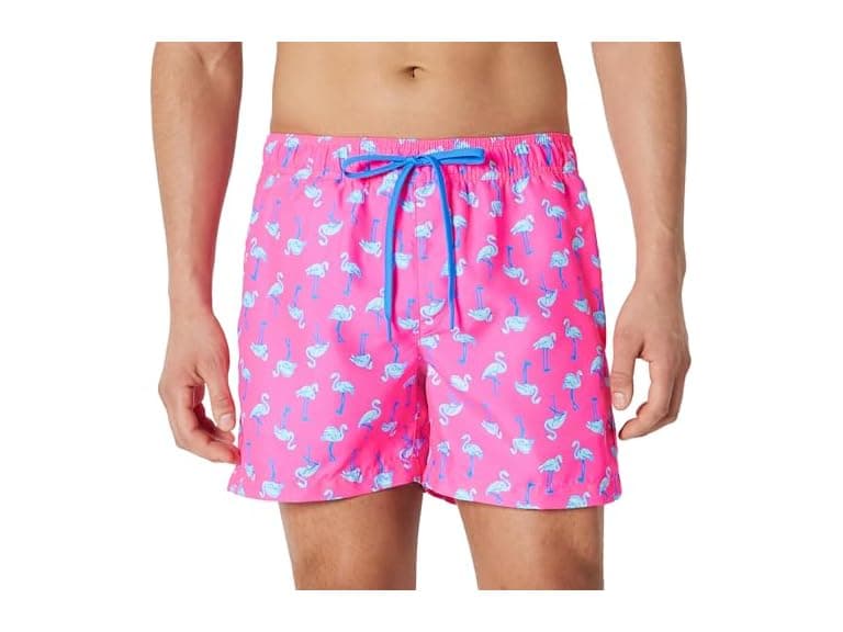 Amazon Essentials Mens 5in QuickDry Swim Trunk - Image 1