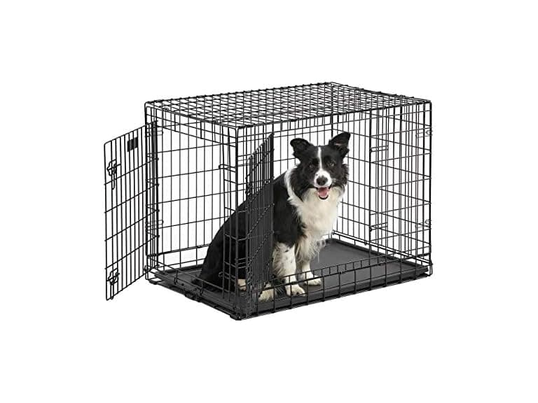 MidWest Homes for Pets Heavy-Duty 36-Inch Dog Crate - Image 1