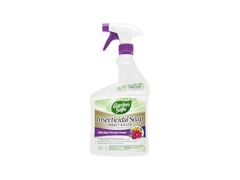 Garden Safe Brand Insecticidal Soap Insect Killer, 3PK - Image 1