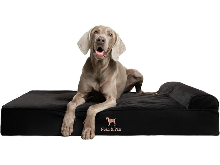 NOAH & PAW Orthopedic Dog Beds- XLarge - Image 1
