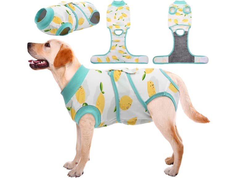Recovery Suit For Pets After Surgery - Image 1