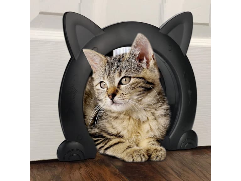 Cat Interior Door Pass Through Opening - Image 1