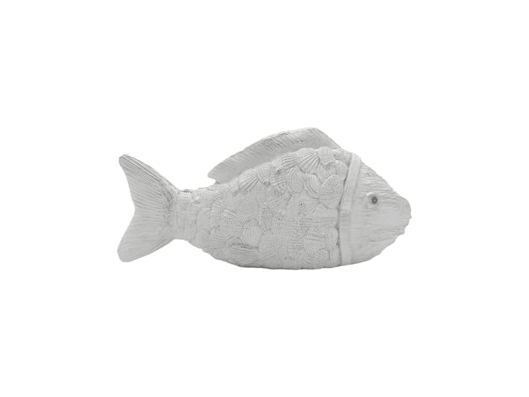 Sandstone Bodied Shell Fish Decoration- White Seashell Fish - Image 1