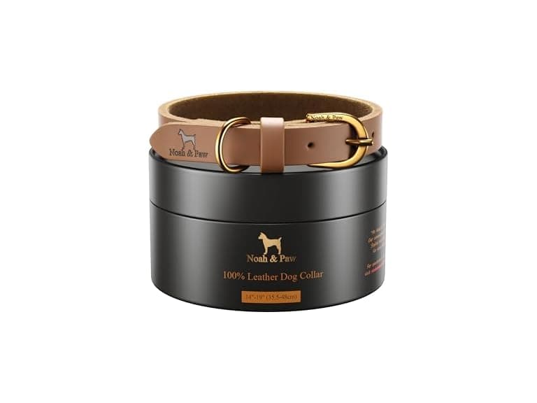 NOAH & PAW Genuine Leather Dog Collar - Image 1