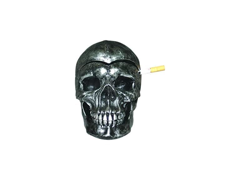 DWK Death Defying Human Skeleton Skull - Image 1