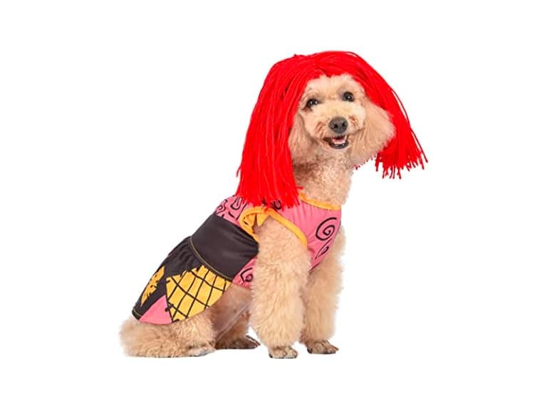 Disney for Pets Halloween Nightmare Before Christmas - Image 1