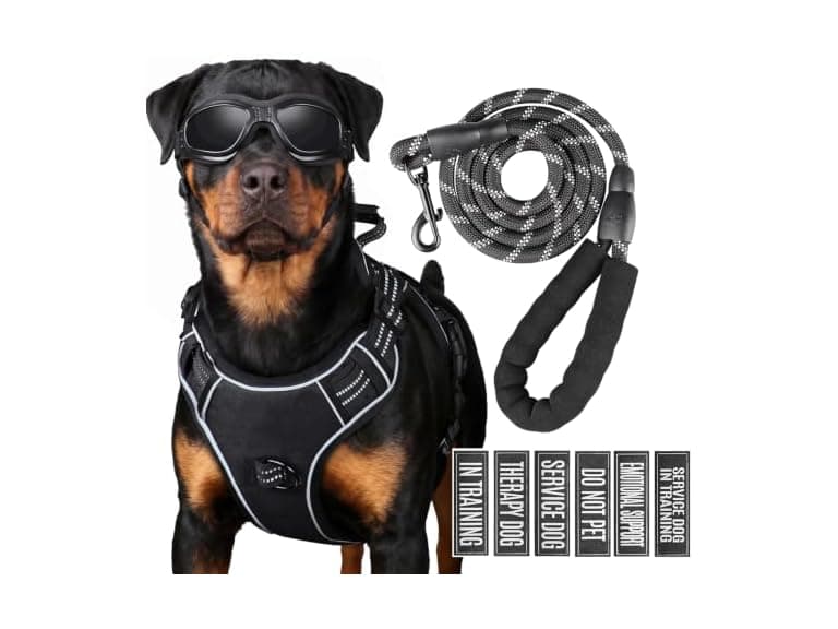 yimeis 3-in-1 Dog Vest Harness Leash - Image 1