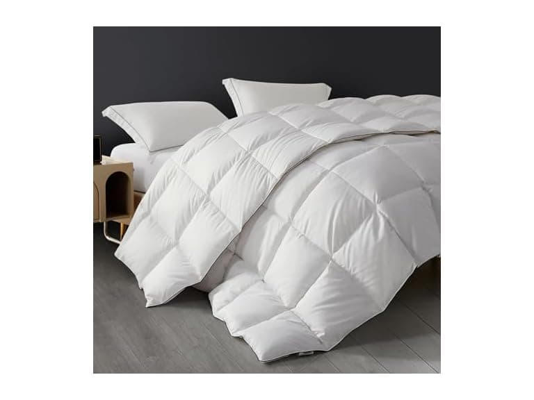 Feather Down Comforter - Image 1