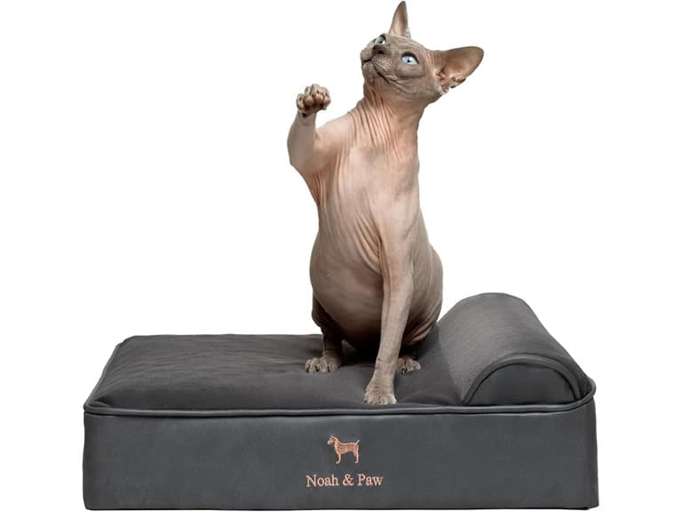 NOAH & PAW Orthopedic Dog Beds- Small - Image 1