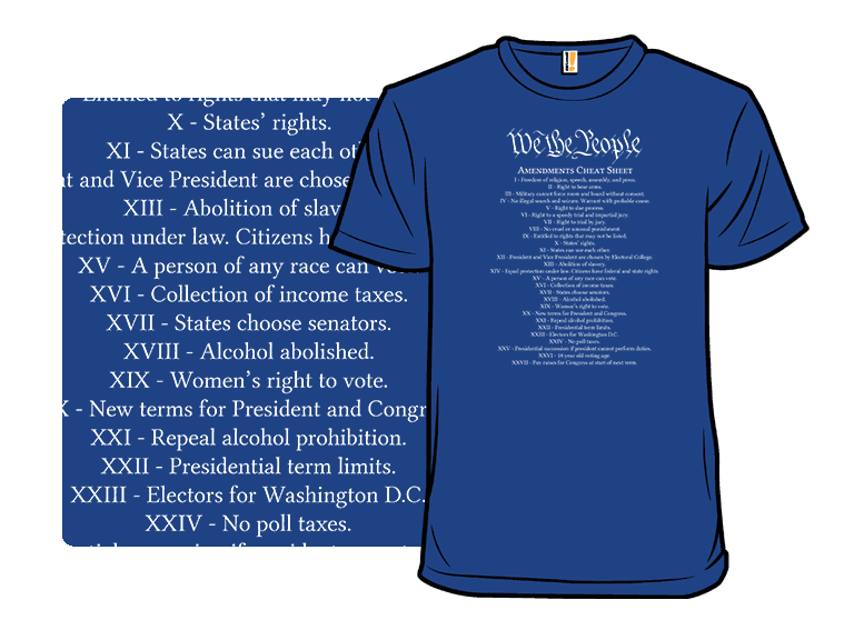 Constitution Cheat Sheet - Image 1