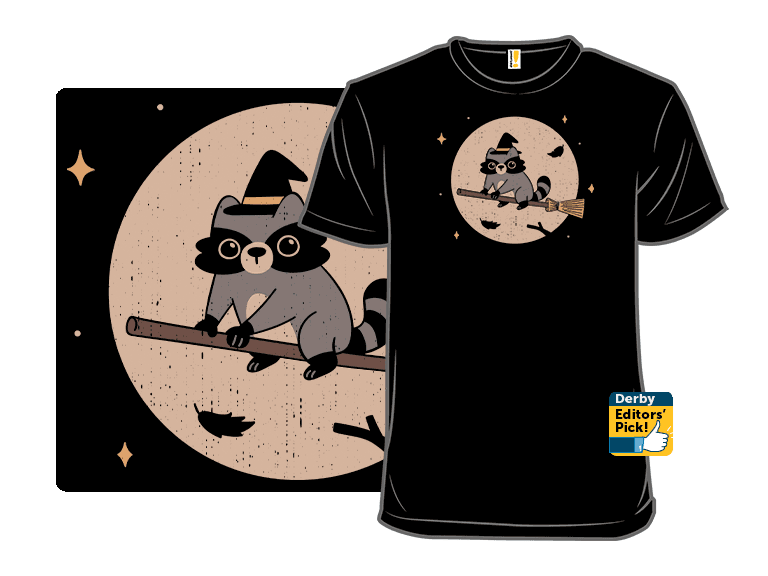 Raccoon Witch