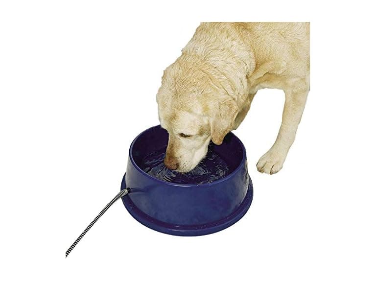 K&H Thermal-Bowl Outdoor Heated Dog Bowl - Image 1
