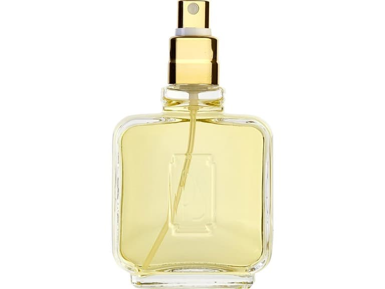 Paul Sebastian Cologne Spray Tester No Cap 4.0 Oz - Image 1