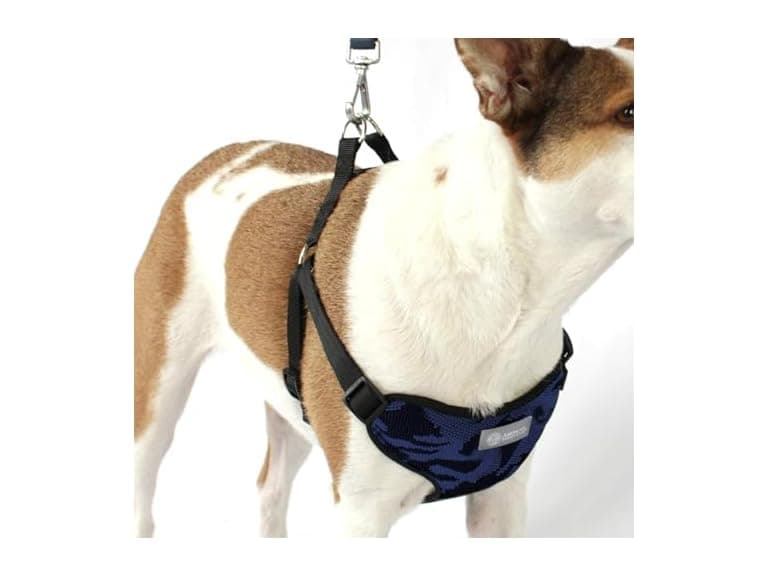 AKC Step-in Camo Dog Harness – No Pull - Image 1