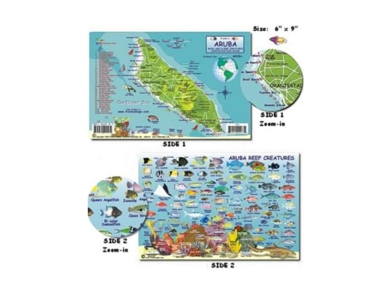 Franko Maps Franko Maps Aruba Reef Creatures Fish - Image 1
