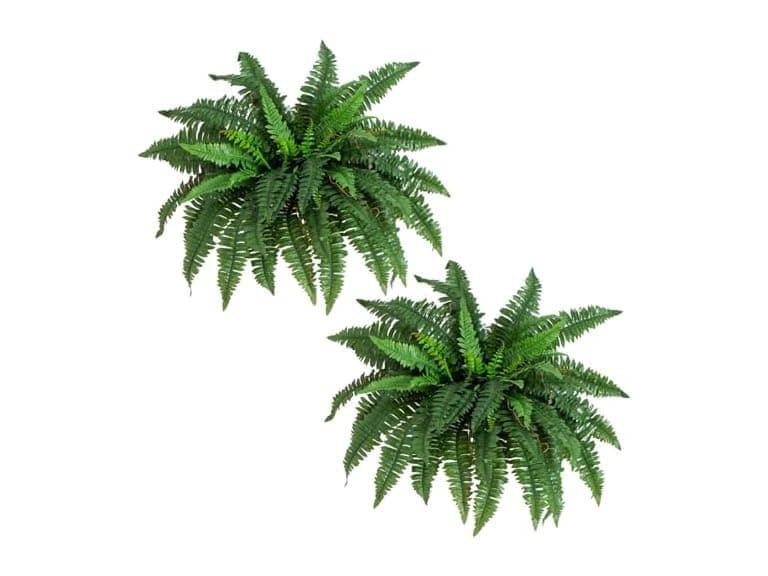 Nearly Natural 40 in Artificial Boston Fern Indoor Plant (Set of 2) - Image 1