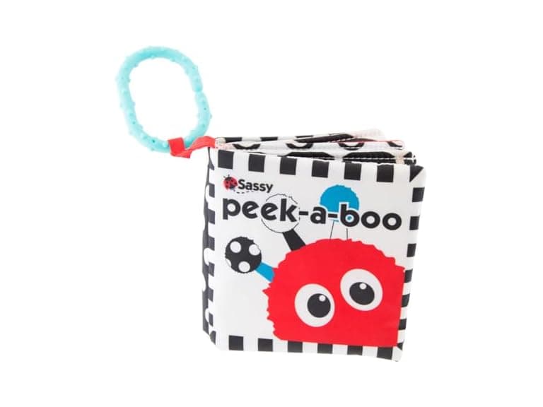 Sassy Peek-a-Boo Activity On-the-Go Book - Image 1