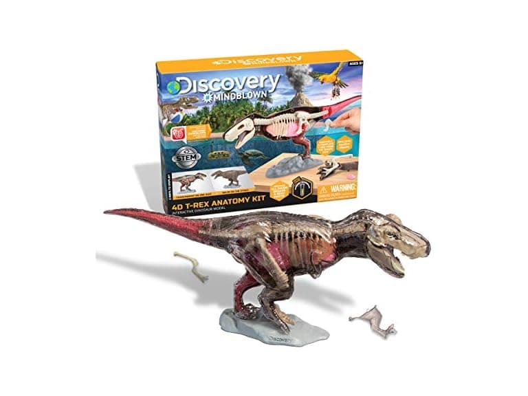 Discovery™ 4D T-Rex Anatomy Kit - Image 1