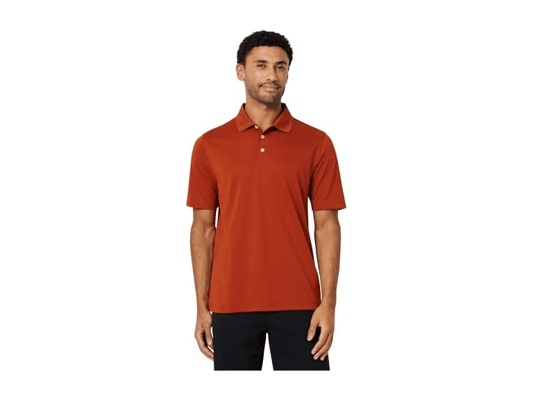 Amazon Essentials Men's Regular Fit Golf Polo - Image 1