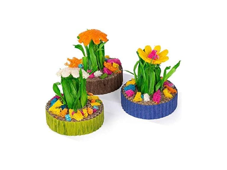 Prevue Pet Products Succulent MiniGarden - Image 1
