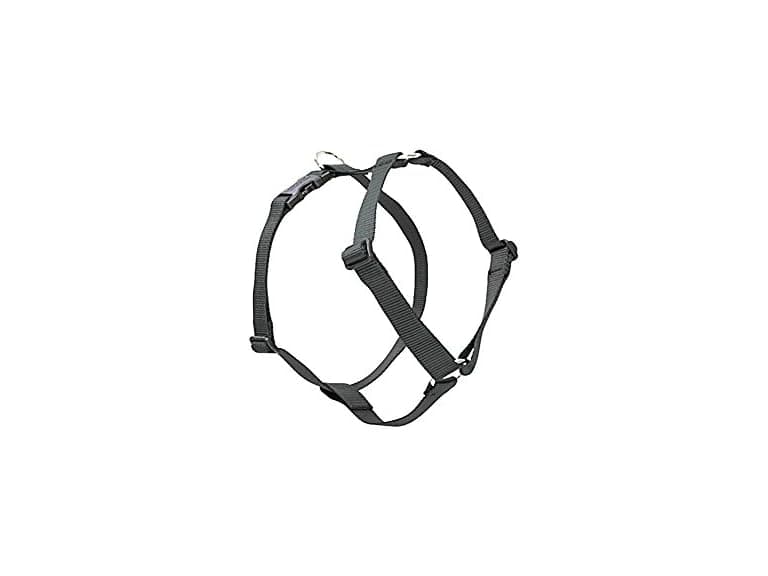 LupinePet Basics 1/2" Black 9-14" Adjustable Harnass - Image 1