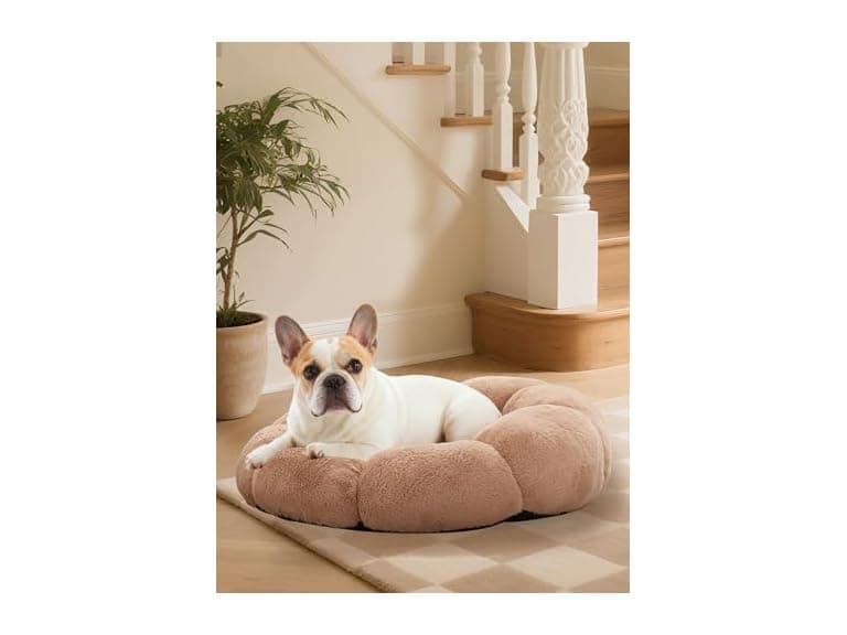 Calming Donut Dog & Cat Bed - Image 1